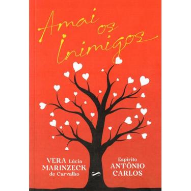 Imagem de Livro - Amai os inimigos