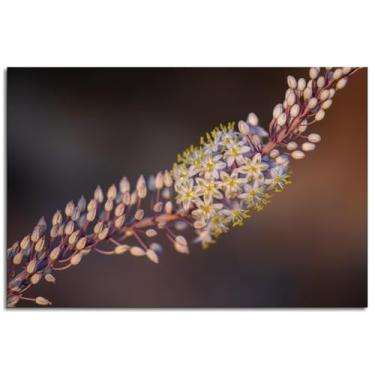 Imagem de 1126 Impressão em tela do mar Onion Nature Poster arte de parede para casa 1 peça decorações não ramificadas 30,5 x 20,3 cm