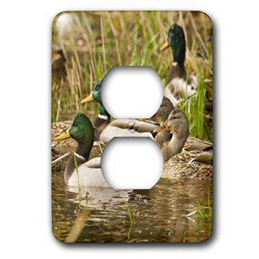 Imagem de 3dRose lsp_93916_6 Patos Mallard, William L. Finley NWR, OR-US38 RBR0045-Rick A. Brown Capa de tomada com 2 plugues multicolorida