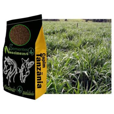 Imagem de 5kg Sementes de capim Tanzãnia para pastagem excelente para Caprinos /