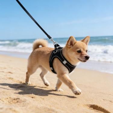 Imagem de Peitoral multifuncional para cães, macio para animais de estimação com design fácil de colocar para cães pequenos e médios, colete de malha refletiva sem puxar para caminhadas diárias, viagens (preto