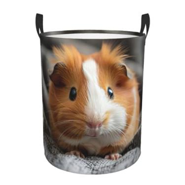 Imagem de Cesto de lavanderia redondo de camada única com estampa de porquinho-da-índia, compacto e elegante, adequado para qualquer espaço