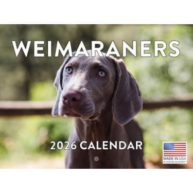 Imagem de Calendário Weimaraner 2026 mensal de parede
