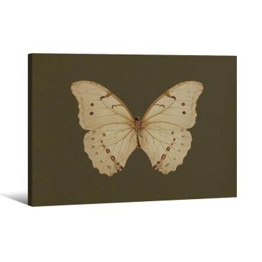 Imagem de Arte de parede em tela Vintage White Butterfly Dark Moody 20x25cm