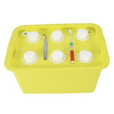 Imagem de ZJchao Kit de de Cultivo Hidropônico, de Cultivo Hidropônico Com 6 Furos, de Rega Automática, Kit de, Caixa de Gabinete Com Bomba de Ar de Aquário, Caixa de Plantio para Jardim (verde)