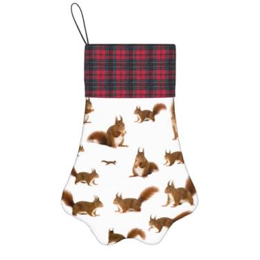 Imagem de SKKNT Linda estampa de esquilo meias de Natal animais de estimação decoração de natal cães gatos árvore decoração doce presente conveniente