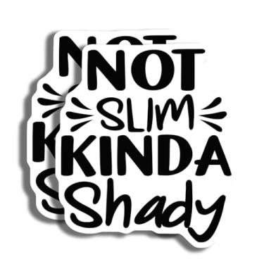 Imagem de Pacote de adesivos engraçados - Adesivo não fino meio sombrio - Adesivo para laptop - Adesivo de garrafa de água - Adesivo de carro - Adesivo decalque - Adesivo durável - AAS0707