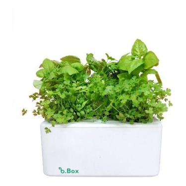 Imagem de Kit Horta Inteligente E Sementes - Com Autoirrigação  - Brota Company