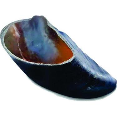 Imagem de Casco Natural Desidratado 1 und P - Cibi Sani