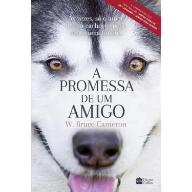 Imagem de Livro - A promessa de um amigo