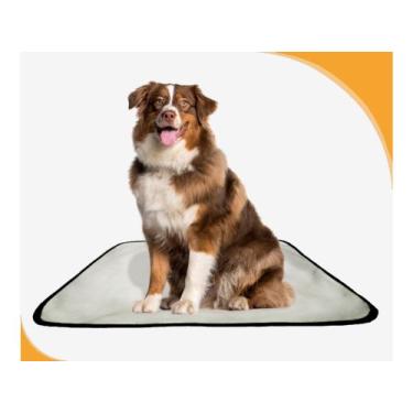 Imagem de Tapete Dog Para Cães Lavável Absorvente 2 Un G - 90X100 Cm - Shelby Mo