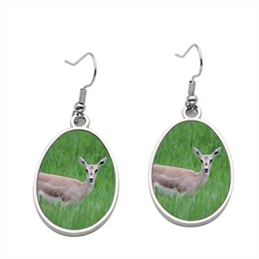 Imagem de Brinco feminino Thomsons Gazelle – Brincos com pingente para meninas – Presente de festa de aniversário dos namorados