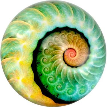 Imagem de Peso de papel sob vidro da natureza dos compradores do mundo, Nautilus Art, 1