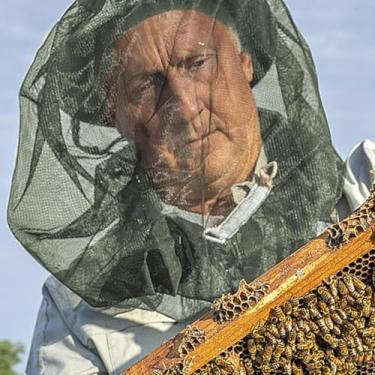 Imagem de 1 máscara mosquiteira, cabeça de malha fina estendida, boné de malha, mosquito, chapéu de pescador, chapéu de inseto, capa verde