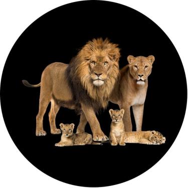 Imagem de Capa Estepe para Ecosport Crossfox Aircross Família Lorben