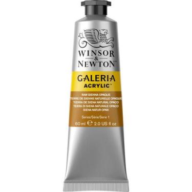 Imagem de Tinta Acrílica Galeria Winsor 60ml 553 Raw Sienna Opaque - Winsor & Ne