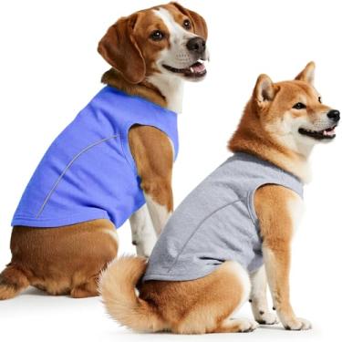Imagem de Idepet Pacote com 2 camisetas para cães com faixa refletiva, macias, respiráveis, sem mangas, para cães e gatos pequenos, médios, colete impermeável para filhotes, roupas de verão (cinza e azul, médio