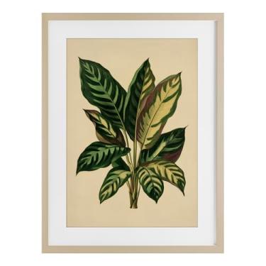 Imagem de Stupell Industries Impressão emoldurada de folhas tropicais com folhas verdes de bétula sob vidro, design por Petal Prints Design, 50 x 35 cm