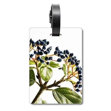 Imagem de Imagem de planta de folha, branca, simples, natureza, mala, etiqueta, etiqueta de bagagem, etiqueta para guardar cartão