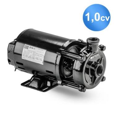 Imagem de Motobomba Nrd-19 1.0Cv Nautilus Para Piscinas