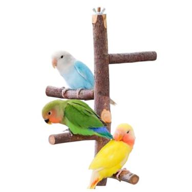 Imagem de CXYYXF Brinquedo de suporte de poleiro de pássaro, maçã natural, papagaio, poleiro, gaiola de pássaro, acessórios de poleiro para periquitos, calopsitas, conures tentilhões, pombinhos (pequeno)