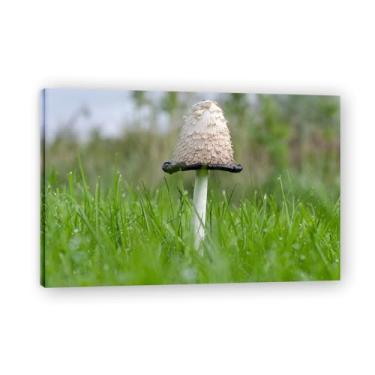 Imagem de Guarda-chuva pequenoFotografia de paisagem de floresta real, impressão em tela de alta resolução, decoração de parede natural para escritório doméstico emoldurado 20 x 30 cm