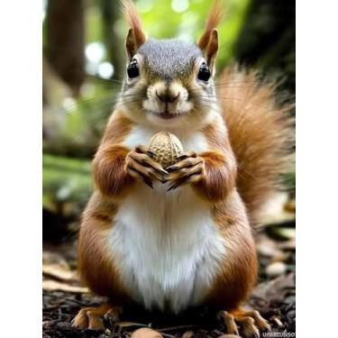 Imagem de UPABLUNSO Kits de pintura de diamante Squirrel Eats Peanuts Art Adults Painting Kit de artesanato DIY 5D Diamond Art Kits completos para adultos iniciantes decoração de parede de casa presente 30 x 40