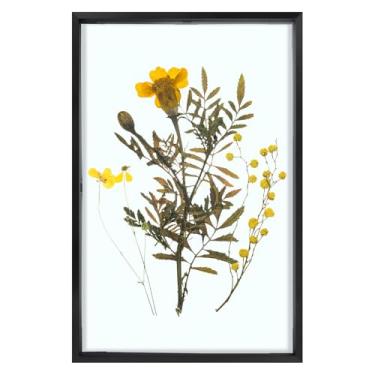 Imagem de Frametory, Porta-retrato flutuante 28 x 43 cm - Moldura de metal de alumínio preto - Vidro real da frente - para exibição de parede