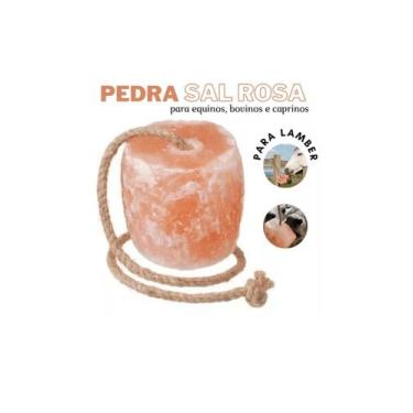 Imagem de Bloco de sal rosa do himalaia 2.9kg - AGROZOOTEC