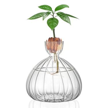 Imagem de Vaso grande de abacate para cultivo de vidro, vaso listrado de sementes de bolota para iniciantes, vaso de abacate para amantes de jardinagem, hidroponia interna