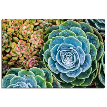 Imagem de Succulent Poster Plant Nature Canvas Prints Wall Art For Home 1 painéis Decorações Noframed 30.5 cmx20.3 cm