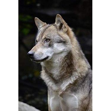 Imagem de Wolf Notebook: beautiful wolf journal for wolves lovers / great gift for people who love animals / ideal for writing ideas / wolf book / wolf notepad ... lined notebook) (120 pages) (6 x 9 inches)