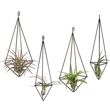 Imagem de Yajun Suporte de planta de ar pendurado suporte de exibição de samambaia de ar de ferro moderno vaso de flores geométrico decoração de parede para escritório em casa e casamento, preto, 7 * 7 * 19 cm