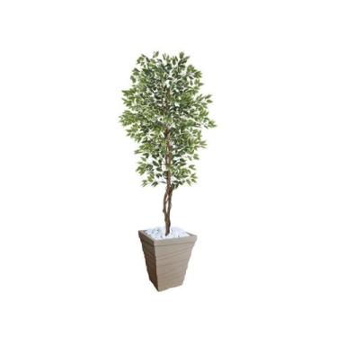 Imagem de Planta Artificial Ficus Verde Creme 2,10m kit + Vaso Trapezio D. Grafi