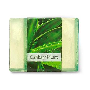 Imagem de Sabonete em barra de glicerina com aroma de plantas Century – natural, vegano, hipoalergênico – hidratante e hidratante com 100% glicerina vegetal – livre de sulfatos, parabenos, sem produtos químicos