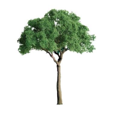 Imagem de JTT Scenery Products Professional Series: Green Jacaranda, 1/2"
