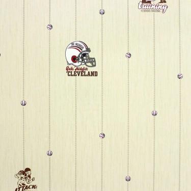Imagem de Papel De Parede All Kids Linha Esportiva H2910401 Rolo 10m X 0,53m