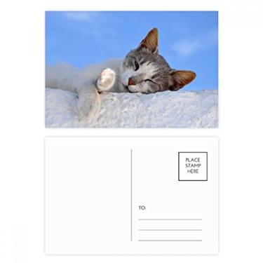Imagem de Kitty Cat Pet Relax Sleep Animal adorável conjunto de cartões postais de aniversário para enviar cartões de agradecimento