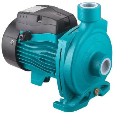 Imagem de Motobomba Piscina Centrífuga Acm75 Monofásica 220v 1cv 1hp - Lepono