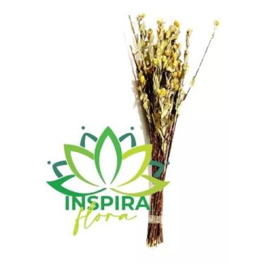 Imagem de Buquês Flor Desidratada Alecrim Do Campo Casamento Decoração - FLORA F