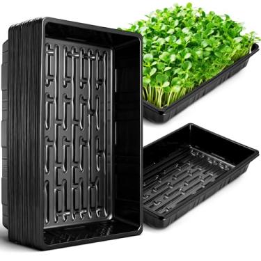 Imagem de Bandejas de cultivo de plantas sem orifícios de drenagem, 35 x 23 cm, bandejas de plástico preto durável para plantas, bandejas de cultivo de microgreens, bandeja para germinação de mudas