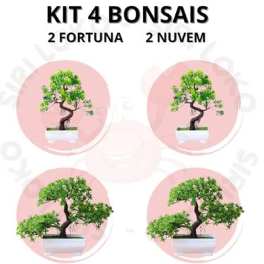 Imagem de Genérico, Kit Especial 4 Bonsai Artificial Modelos Nuvem e Fortuna - Mini Jardim Beleza Natural Sem Cuidados