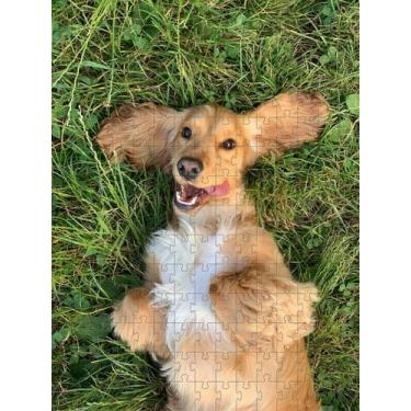 Imagem de 4 Quebra-Cabeça Cognitivo Reabilitação Idosos Cachorro 40 pc - Coleção