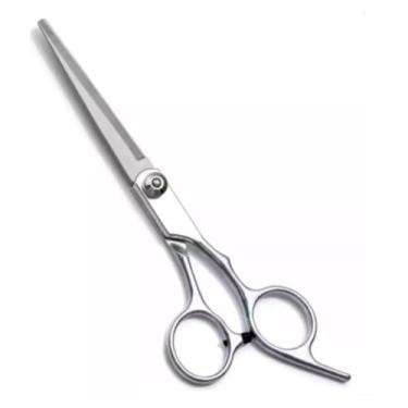Imagem de Tesoura Profissional de Cabeleireiro em Aço Inoxidável, 17 cm, Prata
