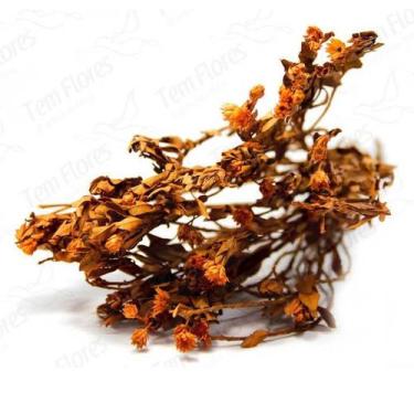 Imagem de Arapurama Laranja Desidratado Buque Flores Secas - Tem Flores
