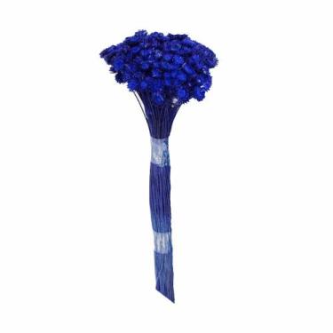 Imagem de Botão Margarida Azul Desidratado - Pense Flores