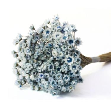 Imagem de Planta Seca Sempre Viva Azul Bebê - Pense Flores