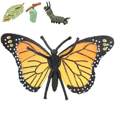 Imagem de Generic Modelo de Ciclo de Crescimento de Borboleta Brinquedo Educacional para Crianças, Modelo de Inseto de Simulação Brinquedo de Inseto para Crianças, de de Plástico Ecologicamente Correto para