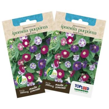 Imagem de 2X Sementes de Ipoméia Purpúrea (Sortida)  TOPSEED
