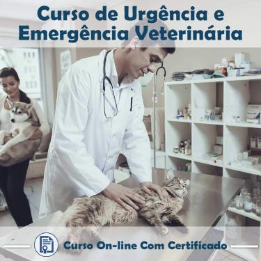 Imagem de Curso online Urgência e Emergência Veterinária em videoaula sobre a com Certificado + 2 brindes